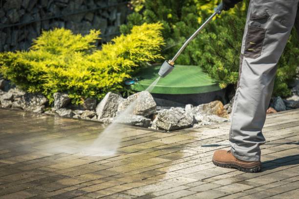 Best Gutter Cleaning  in Homestead, FL