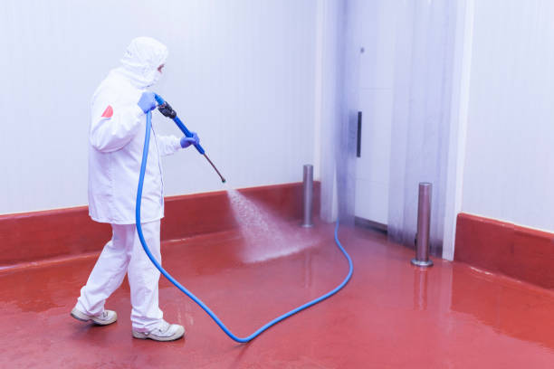 Best Boat and Dock Cleaning  in Homestead, FL